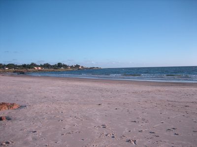 IMG_0495