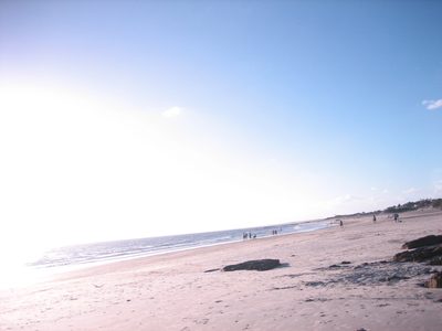 IMG_0501