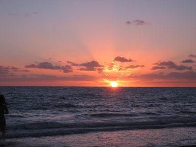 IMG_0531