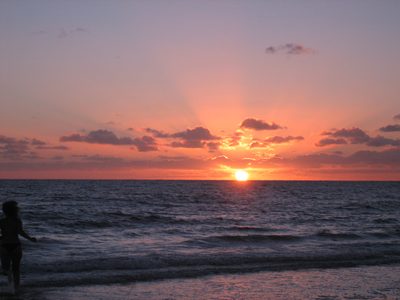 IMG_0532