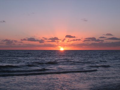 IMG_0535